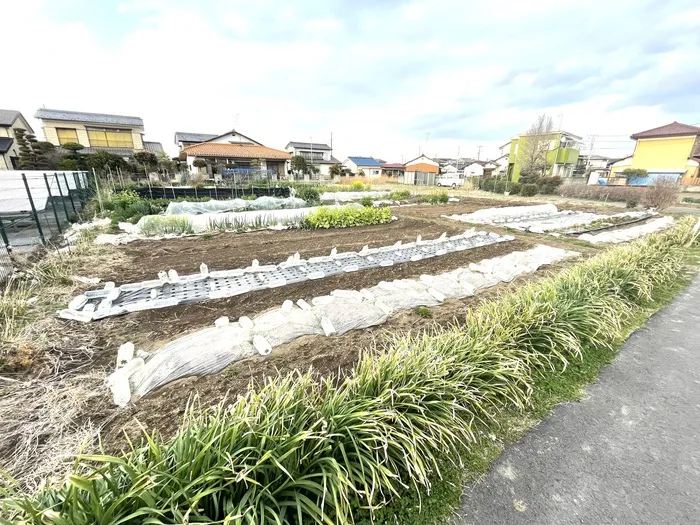本庄市見福　土地　
